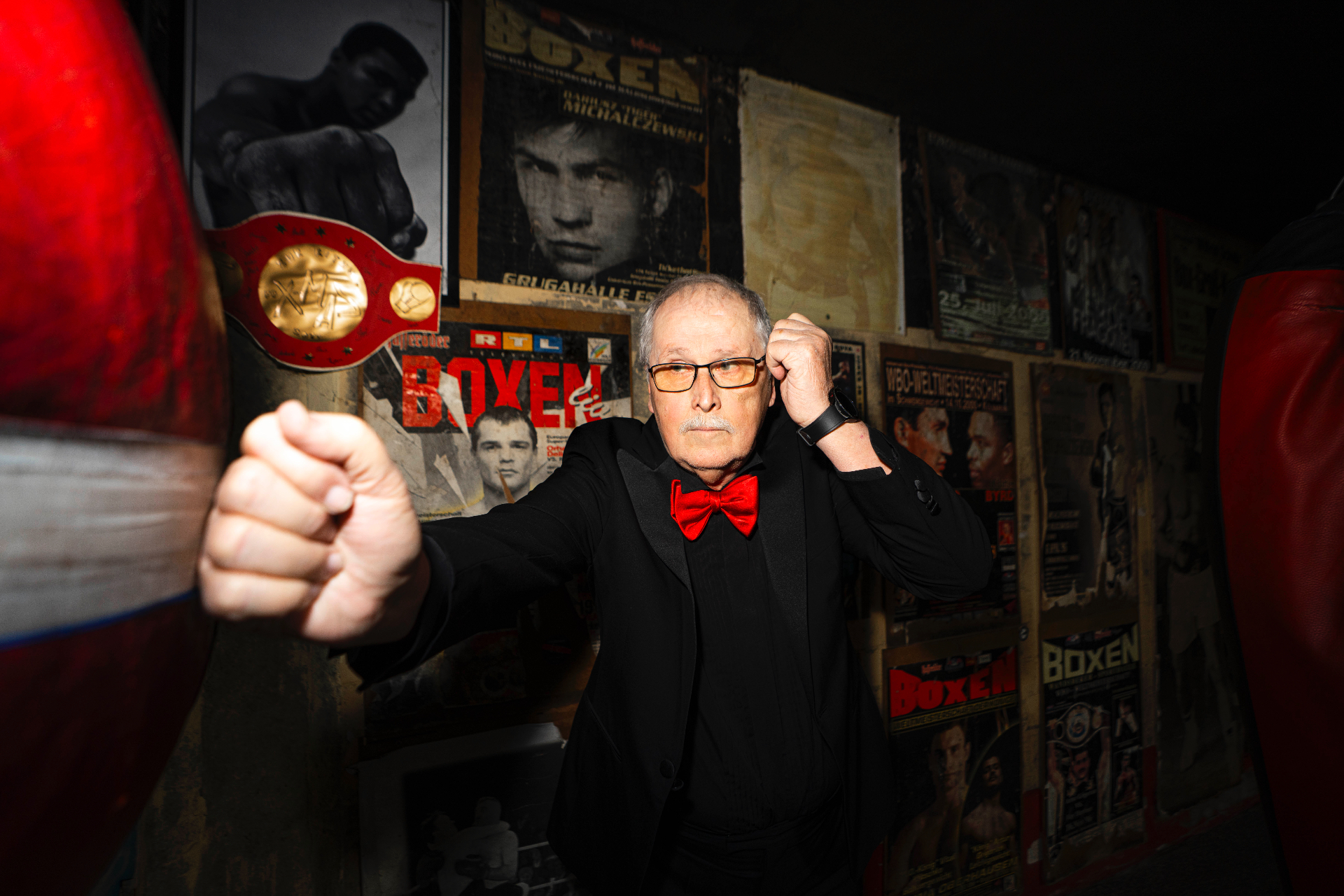 Porträt eines Boxers in Kampfhaltung