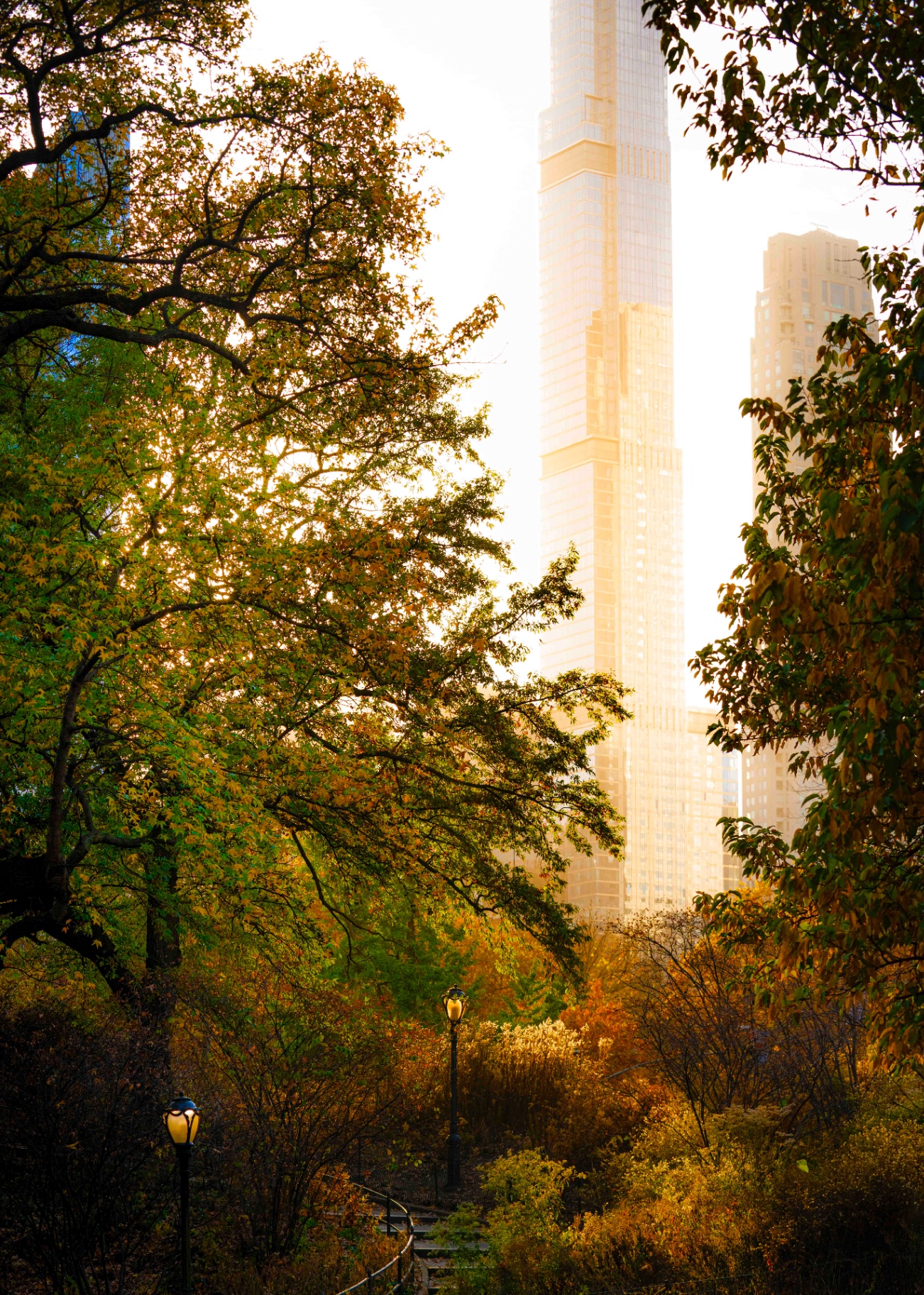 Herbstliche Bäume vor einem hellen Hochhaus am Central Park