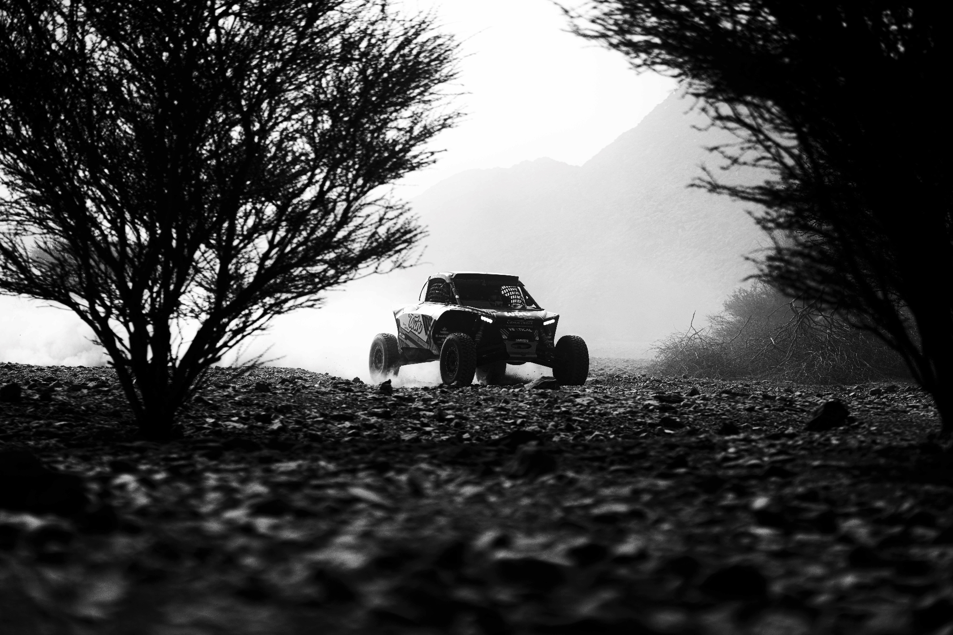 Schwarzweiß: Rallye-Fahrzeug im Staub hinter einem kahlen Baum